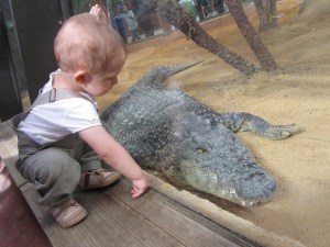 Nicolás y cocodrilo