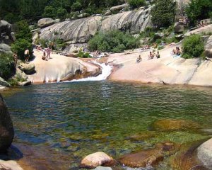 charca verde en verano